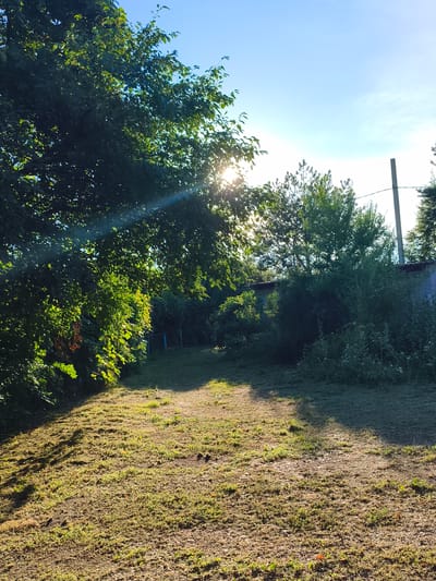 The image depicts an outdoor scene on a sunny day, possibly in Konstantinovka, Russia, as suggested by the prompt. The foreground features a patch of mown grass, unevenly cut, with visible clumps of grass clippings. Sunlight streams from the upper left, casting dappled shadows across the lawn from the dense foliage of a large tree to the left. This tree's leaves are vibrantly green, with some appearing more yellowish, indicating it is likely a deciduous tree in its summer foliage.

Behind the mown area, the terrain slopes slightly upwards towards a line of trees and shrubs. The foliage in this middle ground is a mix of dense green bushes and taller, sparser trees, including what appear to be pine trees. Sunlight filters through these trees, creating a bright, slightly hazy effect.

In the background, a long, low building with a blue-grey facade and a red-tiled roof is visible. A tall, grey, cylindrical pole stands to the right of the building, with a wire extending from it horizontally. The sky above is a clear, bright blue, with a few faint wispy clouds. The overall impression is one of a rural or semi-rural setting, bathed in bright, natural light. There are no people or animals visible in the image.