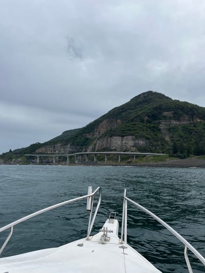 The image depicts a coastal scene observed from the bow of a white vessel on the water. The location is identified as the Sea Cliff Bridge on the Grand Pacific Drive, within the Wollongong City Council area, New South Wales, Australia.
In the foreground, the white fiberglass bow of a boat is visible, featuring polished stainless steel bow rails and forward mooring hardware. A single stainless steel rod holder is mounted on the port side bow rail. The midground consists of dark green-blue ocean water exhibiting moderate surface chop.
The background is dominated by the coastline. The multi-span Sea Cliff Bridge, a concrete structure supporting a dual carriageway, runs along the base of a steep, heavily vegetated cliff. The bridge is elevated on numerous concrete piers over the water and a narrow, dark, rocky shoreline. The cliff face shows exposed light-colored rock strata beneath dense green foliage. The sky is uniformly overcast grey, indicating a cloudy daytime environment. No people or animals are visible.