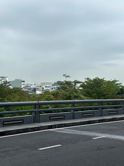 The image presents an elevated, panoramic view of an urban area in Hòa Cường Ward, Vietnam, under an overcast sky. In the foreground, a dark asphalt road surface features a broken white centerline and a solid white edge line, with a segmented metal expansion joint traversing its width. To the right, a gray concrete barrier topped with a continuous metal handrail separates the road from the mid-ground. The barrier includes multiple rectangular recesses with light-colored inserts. Beyond this barrier, dense green foliage, comprising various trees and shrubs, some displaying red blossoms, partially obscures the cityscape. The background reveals a dense urban environment composed of numerous multi-story buildings, primarily in shades of gray and white, rising above the tree line. A large, partially visible circular structure, consistent with an observation wheel, stands in the far distance amidst the buildings. The sky is uniformly light gray and overcast. No individuals or specific activities are visible within the frame.