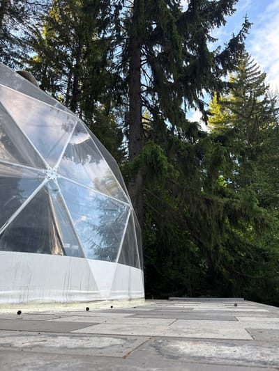 The image depicts a geodesic dome with a transparent cover, set amidst a dense forest of tall evergreen trees. The dome structure is visible in the foreground, partially obscuring the natural surroundings. The ground in front of the dome is paved with grey and dark grey rectangular stones, and a few pinecones are scattered on the surface. The sky is visible through the trees, with some clouds. The overall scene suggests an outdoor setting, possibly a garden or a recreational area, within a forested environment. There are no people or animals present in the image. The question of location in Makarovo, Russia, cannot be verified from the visual information alone.