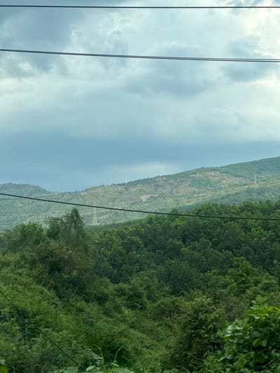The image depicts a landscape in Dak Ro Wa, Vietnam, showing a mountain partially covered with trees under a cloudy sky. Two power lines run vertically on the left side of the image. A power grid tower is visible on the slope of the mountain. Lush green vegetation covers the hillside.
