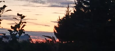 This is a photograph of a sunset over the city of Novokabanovo, Russia. The sky is a mix of orange, pink, and purple hues, with streaks of clouds. In the foreground, silhouetted against the sunset, are trees and some other vegetation. The overall scene is one of natural beauty and tranquility.