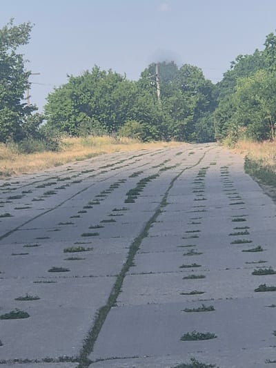 This is a ground-level, eye-level, medium shot photograph of a concrete road in Pidhaitsi, Ukraine. The road is constructed of large, rectangular concrete slabs laid in parallel rows. The concrete is worn and cracked in places. Green grass has grown through the cracks and is also present in clumps on top of the slabs, creating a pattern of green on gray. The road recedes into the distance, curving slightly to the right. On either side of the road, dry, yellowish grass and brush are visible, bordering a dense line of green trees that form a backdrop. The sky is a pale blue with a few wispy clouds. In the far distance, a telephone pole with wires is visible among the trees, and a faint haze or smoke plume rises above the trees. There are no people or animals visible in the image. The overall impression is one of disuse and nature reclaiming the man-made structure.