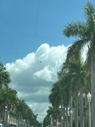 The image shows a partly cloudy sky above a tree-lined street in Fort Myers, Florida, United States. The sky is predominantly blue, with a large cumulus cloud dominating the center of the frame. A small, dark object, possibly a bird, is visible against the cloud. Palm trees line both sides of the street, and evenly spaced light posts are visible. Buildings are partially visible behind the trees. A stop sign is mounted near the right side of the image, and a partial view of a white vehicle can be seen near the bottom right corner.