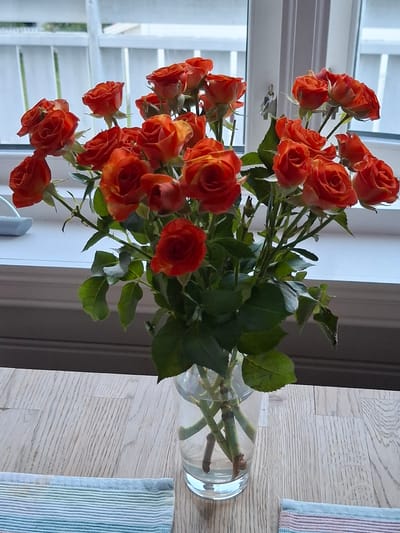 A bouquet of orange roses with green leaves is displayed in a clear glass vase filled with water. The vase sits on a light-colored wooden surface. In the background, there is a white-paneled window with a view of a white fence or railing. The overall scene is well-lit, suggesting it is daytime. The location in the city of Åsgårdstrand, Norway, is an indoor setting, likely a home or a business, near a window that looks out onto a residential or garden area.