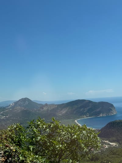 The image shows a landscape with a prominent mountain range extending into the sea. The sky is clear and blue. Vegetation, including a leafy tree, is visible in the foreground. In the distance, a coastline with a beach and some structures is evident. The location is Novoselje, Montenegro.