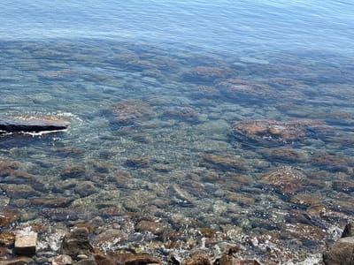 The image depicts a rocky shoreline with clear water. Rocks of varying sizes are visible both above and below the water's surface. The water is clear enough to see the rocks on the bottom. Ripples are present on the water's surface. The location in Semidvorye, Ukraine, is not determinable from the image alone.
