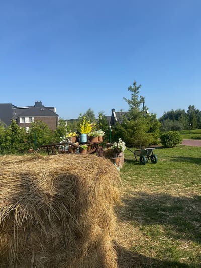 The image depicts a rural-themed outdoor scene on a sunny day. In the foreground, a large bale of dry straw is prominently featured on the left. To the right of the straw bale, an antique wooden cart filled with flower baskets and decorative items sits on a patch of green grass. Among the flowers, there is a blue decorative pitcher. Further to the right, a green wheelbarrow with two wheels is parked on the grass. In the background, several houses with dark roofs and windows are visible, surrounded by lush green trees and bushes. The sky is clear and blue. The location is the city of Seltso, Russia.