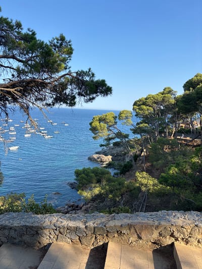 The image depicts a scenic coastal view from a high vantage point. The foreground is dominated by lush green trees, specifically pine trees with their characteristic needles, framing the scene. To the right, a stone wall borders a paved path, suggesting a man-made walkway or viewpoint.
Beyond the trees and wall, a vast expanse of tranquil, blue water stretches out, dotted with numerous small sailboats. These boats are white and appear to be anchored or sailing slowly, creating a peaceful, almost serene atmosphere. The water is calm, with gentle ripples visible on its surface. Rocky outcrops rise from the water in the distance, adding to the rugged beauty of the coastline.
The sky above is a clear, vibrant blue, indicating a sunny day with good weather. The lighting suggests it is either early morning or late afternoon, as evidenced by the warm, directional shadows cast on the path and stone wall. The overall impression is one of natural beauty and tranquility, a popular spot for recreation or sightseeing. The location cues, such as the type of trees and the presence of sailboats in clear blue waters, are consistent with a Mediterranean coastal setting like Llafranc, Spain. No text is visible in the image.