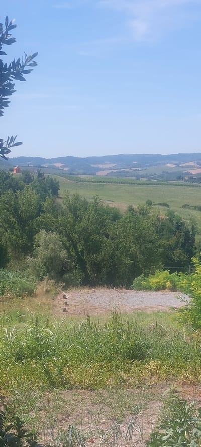 This is a vertical, outdoor, daytime photograph taken from a slightly elevated position, looking out over a rolling, green landscape in Pontestura, Italy. The sky is a clear, pale blue with a few wispy white clouds. In the foreground, there is a patch of gravel with several small, dark rectangular stones placed in a line. Surrounding this area is a dense growth of green grass and other vegetation, with some plants showing yellowing.
Further into the mid-ground, a line of trees, some with dense green foliage and others with lighter, almost feathery leaves, creates a transition to the distant scenery. Behind the trees, the landscape unfolds in a series of undulating hills, covered in fields of various shades of green and brown. Some of these fields appear to be vineyards, with distinct rows of plants. A small, red building with a darker roof is visible on a distant hill to the left. The overall impression is of a peaceful, rural setting under a bright, sunny sky.