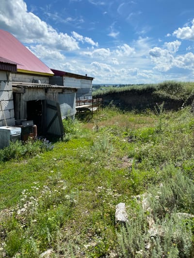The image depicts an outdoor scene in Yuldybayevo, Russia, featuring an unkempt yard with various structures and vegetation. In the foreground and mid-ground, lush green grass and wild flowers dominate the landscape, with patches of dry earth and scattered debris. To the left, a dilapidated building with a red metal roof and concrete block walls is visible. Adjacent to this building is a lean-to structure with a wooden and corrugated metal facade. Outside this lean-to, an old white electric stove and rusty metal containers are placed. Further to the right, a slope covered in dense green brush descends towards a distant horizon where a few scattered houses and trees can be observed. The sky is a vibrant blue, adorned with fluffy white clouds, indicative of a clear, sunny day. There are no people or animals present in the scene.