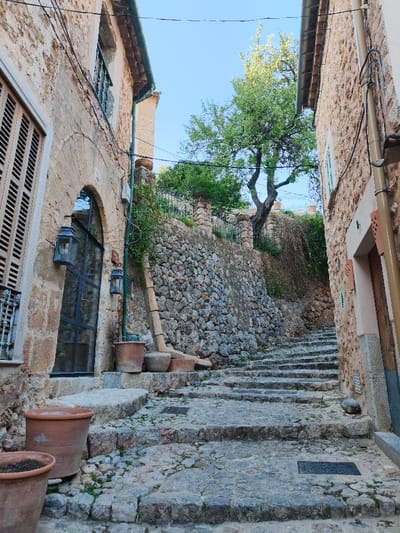 The image displays a narrow, uphill cobblestone alleyway in the city of Fornalutx, Spain, characterized by traditional stone architecture under a clear blue sky. The scene is devoid of human presence.
The ground consists of uneven, well-worn stone steps and pavers, with small patches of green moss and vegetation growing between them. Two rectangular metal utility covers are embedded in the lower steps.
To the left, a multi-story building constructed of rough-hewn, light-brown stone features a large arched entryway with a dark-framed, multi-paneled glass door. Above this, a window with closed vertical wooden louvre shutters is visible. Two dark, ornate metal lanterns hang symmetrically on the stone wall flanking the arched entrance. A vertical green utility conduit runs along this wall. In the foreground, two empty, large terra cotta pots are placed on the steps. Further up, a large round terra cotta pot and a smaller grey pot rest on a stone ledge near the building's base. Leaning against a dry-stone retaining wall, adjacent to these pots, is a long, light-colored wooden beam or ladder.
To the right, a multi-story building of similar stone construction is partially visible, featuring a narrower entrance with a light-colored frame. Small, light-blue wooden shutters are present on an upper window. A dark utility pipe runs vertically along the exterior of this building.
In the middle ground, a substantial dry-stone retaining wall supports an elevated terrace. Above this wall, a low stone balustrade with ornate stone pillars and a section of dark metal fencing is visible. A large, mature tree with a gnarled trunk and abundant green foliage grows prominently from behind this balustrade, extending towards the clear blue sky. Scattered green vegetation, including some trailing vines, is visible on the walls and terraces. The lighting indicates daytime, casting subtle shadows.