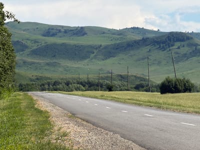 This is a landscape photograph of a paved road curving to the right, bordered by a grassy embankment on the left and a field of green grass and wildflowers on the right. In the distance, rolling green hills are covered in vegetation, with scattered trees on their slopes. A line of wooden utility poles runs along the right side of the road, receding into the background. The sky is partly cloudy and light blue. The scene depicts a rural or semi-rural environment. There are no people or animals visible in the image.