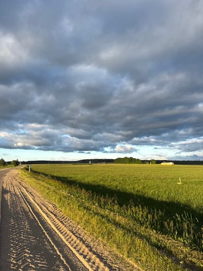This image depicts a rural landscape in Мажэйкаўскі сельскі Савет, Belarus, under a dynamic sky, suggesting either late afternoon or early evening. The upper two-thirds of the frame are dominated by dark, heavy stratocumulus clouds, with interspersed patches of brighter white clouds and light blue sky visible between them, particularly towards the horizon.

In the foreground, a dirt or unpaved road curves from the lower left towards the mid-left of the frame. The road surface exhibits multiple distinct tire tracks, indicating recent vehicle passage. To the immediate right of the road, a strip of dry, light-colored soil transitions into overgrown green and yellow grasses and weeds.

Adjacent to the road and extending across the midground is a vast green field, likely agricultural. A significant portion of this field, particularly on the left and center, is illuminated by golden sunlight, creating long, distinct shadows that stretch across the grass towards the right. The right side of the field is predominantly in shadow, appearing a deeper green. A small, light blue signpost with the number "3" is visible standing upright near the road on the left side of the field. Further into the field on the right, a small, white, T-shaped wooden marker protrudes from the grass.

The horizon line, stretching across the width of the image, is marked by a dense band of dark green forest. Above this tree line, a small, white structure with a dark, pointed roof, possibly a church or a chapel, is visible towards the left-center of the background. Further to the right, another light-colored building, possibly a barn or an agricultural shed, with a reddish roof, stands partially visible near the tree line, bathed in sunlight. No people are visible in the scene.