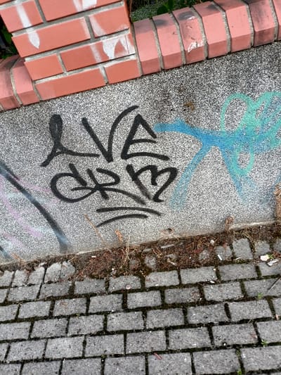 The image shows a close-up of a textured concrete wall adorned with graffiti. The graffiti is primarily in black spray paint, featuring stylized lettering that appears to read "LIVE DREAM". To the right of the black graffiti, there are abstract spray-painted shapes in teal and blue. The wall itself has a speckled, granite-like appearance. At the top of the image, a section of a red brick structure is visible, with some white spray paint marks on the bricks. The bottom of the image shows a section of a grey cobblestone pathway. Scattered dry leaves and debris are present along the base of the wall where it meets the pathway. There are no people visible in the image, and no specific identifiable landmarks of Grudziądz, Poland, are apparent, suggesting a generic urban or public space setting.