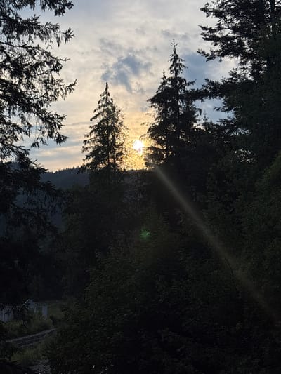 This is a vertically oriented, low-angle shot of trees against a sky with clouds and the sun. The sun is visible through the branches of a tall evergreen tree, casting a warm glow and a light beam across the scene. The foreground is dominated by dark silhouettes of pine trees, with their needles creating a textured pattern against the brighter sky. In the middle ground, a mountain slope is visible, shrouded in shadow. The sky is partly cloudy, with wispy clouds illuminated by the sun, suggesting it is either sunrise or sunset. The overall mood is serene and natural, with a sense of looking up through a forest canopy towards the sky. The location context is Tatariv, Ukraine, implying a mountainous, forested region. There is no visible text in the image.