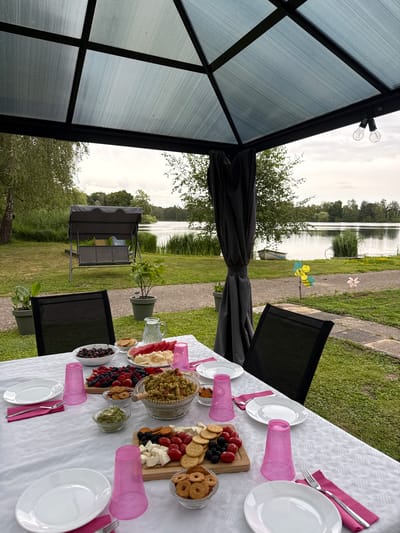 The image depicts an outdoor dining setup under a gazebo, with a lake and trees in the background. The table is set with white plates, pink napkins, pink cups, and cutlery. A variety of food is laid out, including a bowl of cherries, a platter of mixed berries, a bowl of pasta salad, and a charcuterie board with cheese, tomatoes, olives, and crackers. A pitcher of water is also visible. Two chairs are positioned at the table, and a swing set is visible in the yard. The sky is overcast. The setting appears to be a residential backyard or a park area near a body of water. While the location is specified as Hanau, Germany, there are no specific landmarks or features in the image that would allow for precise identification of this particular city.