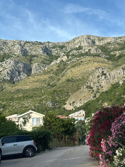 The image depicts a mountainous landscape in Rijeka Reževići, Montenegro. In the foreground, a gray Mini Cooper is parked on a paved road, partially obscured by a vibrant bush with red, pink, and white flowers. Behind the car and flowers, a white house with a light-colored roof and balconies is visible, surrounded by lush green vegetation. Further up the slope, more houses are nestled into the terrain, their white and light-colored facades contrasting with the greenery. The background is dominated by a rugged, rocky mountain face covered in patches of green vegetation, with a clear blue sky overhead. The scene appears serene and quiet, suggesting a residential area situated against a natural backdrop.
