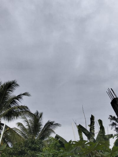 The image depicts an outdoor scene in Tanohmanyang, Indonesia, characterized by an uniformly overcast, grey sky that dominates the upper frame. The lower portion is densely vegetated with tropical flora. Multiple dark green palm fronds are prominent in the lower-left, extending from a dense canopy of varied green foliage. In the mid-right, large green banana leaves, some appearing torn, are visible, alongside lighter green broad-leaved plants in the immediate foreground. An unfinished concrete pillar, dark in color with several exposed rebar rods protruding vertically from its top, occupies the upper-right corner. Two slender white poles are also present; one is on the far left, partially obscured by palm fronds, and another is centrally placed, rising above the banana leaves. No individuals, animals, or explicit activities are depicted.