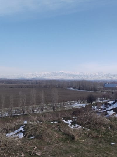 A vast, flat field dominates the landscape, bordered by rows of bare trees, with traces of snow on the ground. Distant snow-capped mountains fade into the horizon beneath a clear blue sky. The foreground consists of rough, grassy terrain with scattered patches of melting snow, suggesting a transition from winter to spring. A large, metal building is visible on the horizon beyond the fields.
