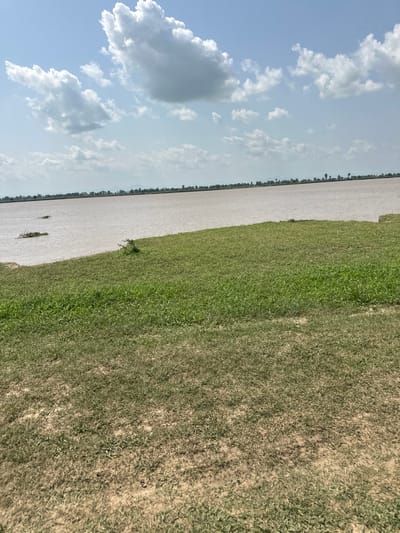 The image depicts a vast body of water on the left, possibly a river or lake, with a distinct muddy brown hue. The water's surface is mostly calm, with subtle ripples suggesting a gentle breeze. In the water, two dark objects, possibly debris or aquatic vegetation, are visible. Along the edge of the water, a thin line of green grass demarcates the transition to the land.

The land area on the right is covered in lush green grass, which appears to be quite dense. The grass gradually transitions to a drier, more barren patch of soil with sparse vegetation as it moves further into the frame. The overall scene is bathed in natural light, indicating it is daytime. The sky, visible in the upper left portion of the image, is a pale blue with scattered white clouds. These clouds are fluffy and well-defined, suggesting fair weather.

The photograph is taken at an angle, making the horizon appear diagonal. The presence of trees in a distant, thin line along the edge of the water suggests a natural landscape, likely a rural or semi-rural setting. The overall mood is serene and tranquil, capturing a moment of natural beauty. No people, objects other than the natural elements, or text are visible in the image. The location context of Lau, Nigeria, suggests this could be a view of a river or a flood plain in that region. The time of day appears to be sometime between late morning and mid-afternoon, given the brightness and cloud formations.