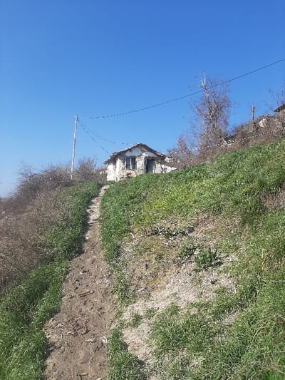 The scene depicts a rural, uphill landscape in Ivanski, Bulgaria, under a clear blue sky. A narrow, unpaved dirt path ascends diagonally from the lower foreground towards the upper left. Green grass covers the immediate slopes on both sides of the path, with denser growth on the right. To the left of the path, thorny, bare shrubbery is visible. In the middle ground, situated on the slope, is an old, single-story structure, likely a house, exhibiting crumbling white plaster walls that reveal underlying stone or brick. It has a dark, possibly tiled, gabled roof and features two open window apertures and an open doorway on its visible facade, revealing dark interior spaces. A bare deciduous tree stands behind and to the right of the house. To the left of the house, a wooden utility pole stands upright, supporting two taut, thin wires that extend horizontally across the sky, passing over the house. No individuals or animals are present.
