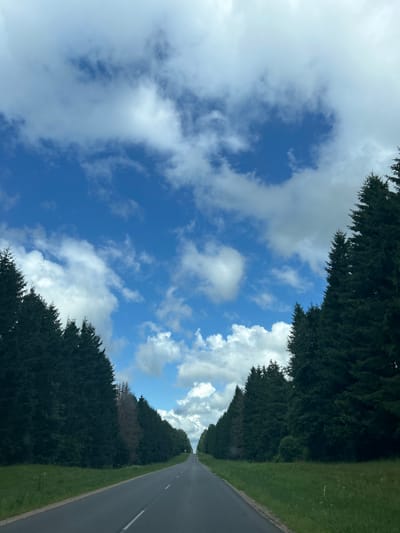 An eye-level, vertical shot captures an asphalt road receding into the distance under a dynamic sky. Dense, dark green evergreen trees line both sides of the road, creating a tunnel effect. The trees on the left appear to have a few dead, brown trees interspersed within the green canopy. The sky is a vibrant blue, dotted with fluffy white cumulus clouds. The road has a white dashed line dividing the lanes. The grassy verges flanking the road are lush and green. The scene depicts a journey through a forested area, likely in the Валожынскі сельскі Савет, Belarus. There are no people or animals visible.
