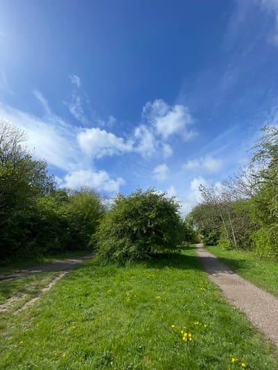 The image depicts a serene outdoor scene, likely a public pathway or trail, located in Portsmouth, United Kingdom. A clear, vibrant blue sky fills the upper half, adorned with scattered white clouds ranging from wispy cirrus to more defined cumulus shapes, indicating a bright and pleasant day. Below the sky, a well-worn dirt or gravel path winds through lush greenery. The path is flanked on both sides by dense trees and foliage, predominantly vibrant green, suggesting late spring or early summer. Some trees also display visible bare branches. The ground beside the path is covered in rich green grass, speckled with numerous small yellow flowers, likely dandelions, particularly noticeable on the right side. Strong sunlight casts distinct shadows, implying a time of day around midday or early afternoon. The absence of people or man-made structures enhances the natural and tranquil atmosphere of the setting. There is no visible text in the image.