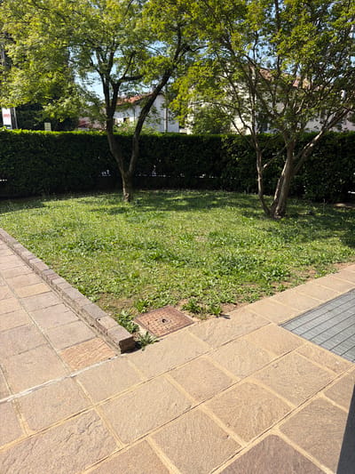 The image captures a section of Lissone, Italy, showcasing an outdoor scene. A manicured green lawn is bordered by a dense, trimmed hedge on one side and a stone-paved walkway on the other. Two trees with leafy branches provide partial shade over the grass. A metal grate and a manhole cover are embedded near the edge of the walkway. The angle of the photograph emphasizes the geometric patterns of the stone pavement and the contrast between the hard surfaces and the natural greenery. The scene appears to be devoid of people.
