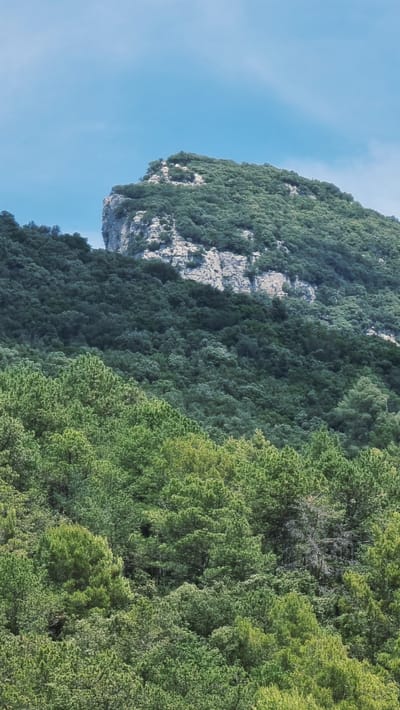 The image depicts a verdant mountainside with a clear blue sky. The mountain is covered in dense green foliage, with patches of rocky terrain visible on its steep slope. The sun appears to be high in the sky, casting a bright light on the scene, suggesting it is daytime. The lush greenery indicates a healthy ecosystem, possibly a natural park or a rural area. The image's orientation, with the sky on the left and the mountain on the right, suggests it was taken from a low angle, looking upwards. There is no visible text or any indication of human presence, objects, or specific activities taking place. The overall impression is one of natural beauty and tranquility. The location context of Sales de Llierca, Spain, aligns with the imagery of a mountainous, forested landscape.