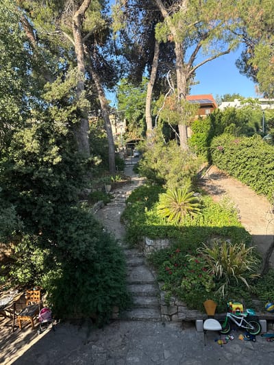 The image shows a winding stone pathway leading uphill through a lush, green garden in Kfar Vradim, Israel. Tall trees with dense foliage cast dappled shadows on the path and surrounding vegetation. A small, red-tiled roof house with solar panels is visible in the upper right portion of the frame, nestled amongst the trees and greenery.
In the foreground, several items are scattered on the stone patio. These include a white chair with a wooden back, a child's bicycle with green accents, a yellow and blue ball, and various small toy building blocks. To the left, a wooden table and two chairs are set up, with a pink and white checkered baby stroller parked beside them. The overall scene suggests a tranquil, residential outdoor space, possibly a backyard or garden area.