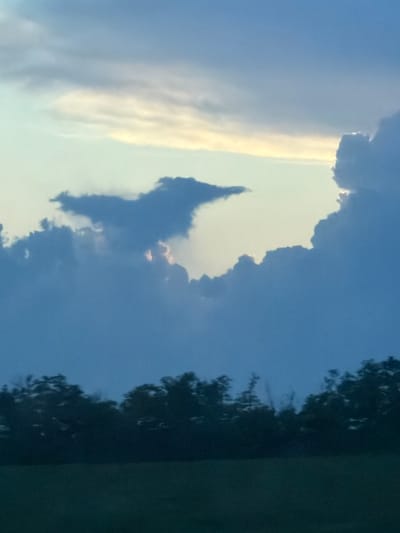 An outdoor, slightly blurry, vertical, full shot shows a dusky sky over a dark treeline and a green field. The sky, occupying the top two-thirds of the frame, is filled with fluffy, blue-grey clouds, with a band of pale yellow and white clouds stretching horizontally across the middle. The treeline is a dark silhouette at the bottom of the sky, and the field is a darker green stripe across the bottom of the frame. No people or animals are visible. The scene appears to be located in Irklievskaya, Russia.