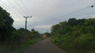 This is an eye-level, medium shot photograph of a paved road winding through a lush, green landscape in Keudesimpangempat, Indonesia. The sky is overcast with a pale, diffused light. Utility poles with multiple wires stretch across the frame, connecting to a distant pole and a solitary light fixture. Dense foliage, including trees and tall grasses, lines both sides of the road. In the distance, a small, light-colored building with a red roof is visible amongst the trees. The scene appears tranquil and rural, with no people or animals present. The image captures a typical day in the Indonesian countryside, emphasizing the natural environment and the infrastructure that serves it.
