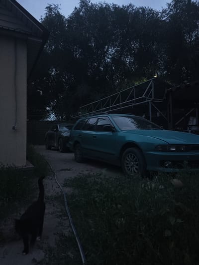 In the city of Rassvet, Kazakhstan, an outdoor scene unfolds at dusk. A black cat with white paws walks away from the viewer along a dirt path that is partially covered by grass. To the right of the path, a teal-colored station wagon is parked. Further back, a dark-colored sedan is also parked. Behind the vehicles, a metal structure with a corrugated roof, possibly a carport or shed, is visible. The background is dominated by dense foliage from mature trees. A light-colored building with visible wiring and a conduit is present on the left side of the frame. The sky is a muted blue, indicating twilight.