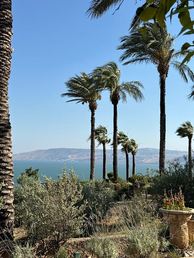 The image depicts a scenic view from a high vantage point overlooking a body of water, likely the Sea of Galilee, given the location context of Emek HaYarden Regional Council, Israel. The foreground is dominated by several tall palm trees, their fronds casting shadows and framing the expansive view. To the right, lush greenery and vegetation, including a large potted plant with pink flowers, create a sense of a well-maintained garden or terrace. A decorative stone wall with a rough-hewn texture forms the bottom edge of the frame.

In the middle ground, the calm, blue water stretches out, meeting a hazy shoreline with hills or mountains in the distance. The overall impression is one of tranquility and natural beauty. The lighting suggests a bright, sunny day, possibly late morning or early afternoon, as indicated by the clear blue sky and the quality of light on the vegetation.

The scene appears to be a peaceful overlook, perhaps a tourist attraction or a private residence with a stunning view. There is no visible text in the image. The composition and the presence of the palm trees and the distant landscape strongly suggest a Mediterranean or Middle Eastern setting, consistent with the provided location context. The image conveys a sense of serenity and a connection with nature.