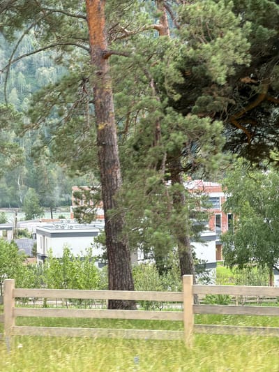 The image captures a scene in Cheposh, Russia, with a focus on a large pine tree whose trunk and branches dominate the foreground. The tree is lush with green needles, and its trunk is a textured brown. Behind the tree, a modern building with white and brick sections is visible, featuring multiple windows. Several air conditioning units are mounted on the exterior wall of the building.
In the background, a dense forest covers rolling hills, suggesting a natural and somewhat rugged landscape. To the right of the image, a wooden fence or railing with vertical posts runs parallel to the foreground, bordering a neatly mown grassy area. The lighting suggests it is daytime, likely late afternoon or early evening due to the soft light and shadows. The overall mood is tranquil and serene, with the natural environment and the modern structure coexisting. No people are visible in the frame.