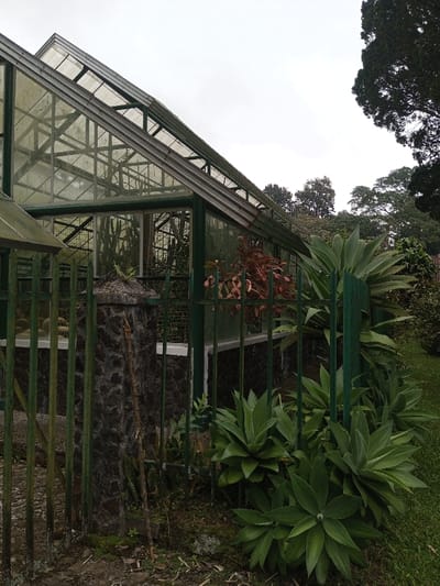 A greenhouse with a glass roof and green metal framing stands behind a dark stone pillar and a green metal fence. Various plants, including large agave plants, grow along the fence line. Red flowers are seen inside the greenhouse. Tall trees are in the background under a cloudy sky. The ground is covered with grass and some bare patches.