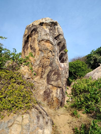 A towering, weathered rock formation dominates the center of the frame, its surface a tapestry of earthy browns, grays, and ochres, marked by natural fissures and crevices. Green vegetation, including leafy branches and thorny bushes, clusters around the base and sides of the rock, with some vines trailing upwards. The ground appears to be a mixture of sand and dry grasses. In the background, more lush green foliage and the edges of other large rocks are visible, all set against a clear, pale blue sky. The scene suggests an outdoor, natural environment, possibly a rocky outcrop or hillside.