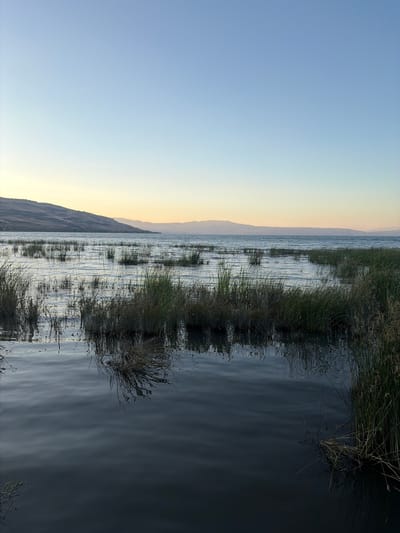 A vertical, medium shot captures a serene lake scene at dusk in Emek HaYarden Regional Council, Israel. The sky transitions from a clear, pale blue at the top to a soft, warm gradient of yellow and orange near the horizon. In the distance, rolling hills and mountains form a hazy silhouette against the sky. The lake itself is calm, with gentle ripples reflecting the subdued light. Patches of tall, reedy grass and reeds emerge from the water, creating a natural border and adding texture to the foreground and midground. The reflections of the reeds are visible on the dark, still surface of the water closest to the viewer. No people are present in the scene. The environment is natural and tranquil.