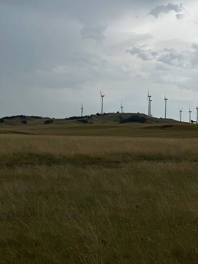 A wide shot captures a rolling, grassy landscape under a cloudy sky. In the distance, a line of wind turbines stands silhouetted against the horizon, perched on a distant ridge. The foreground is dominated by tall, dry grass, creating a textured, muted green and brown carpet. The sky is overcast with patches of lighter clouds, suggesting a diffused light. The scene appears to be a rural, open area, possibly a field or pastureland. There are no people visible in the image. The location is described as Жаңаауыл, Kazakhstan.