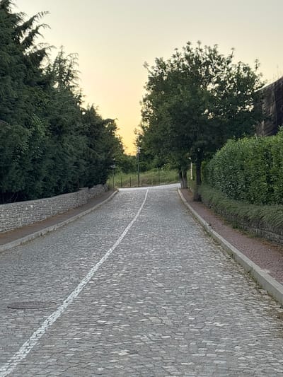 The image depicts an empty, curved cobblestone path lined with lush green trees and bushes. A white line runs along the center of the path, suggesting it might be a road or a designated walkway. The setting appears to be a park or a scenic route, possibly in Emona, Bulgaria, given the location context. The time of day is likely early morning or late evening, as indicated by the soft, warm glow of the sky. The weather seems calm and pleasant. There are no people visible in the frame, contributing to a sense of tranquility and solitude. The path curves gently to the right, disappearing into the distance, inviting exploration. The trees on the left side of the path are dense and verdant, creating a natural canopy, while the bushes on the right are neatly trimmed, suggesting a well-maintained area. The cobblestone texture of the path is detailed, with individual stones clearly visible, adding a rustic charm to the scene. A subtle shadow from an unseen structure is cast on the top left of the image, hinting at nearby architecture. The overall mood is peaceful and serene, evoking a sense of natural beauty and quietude.