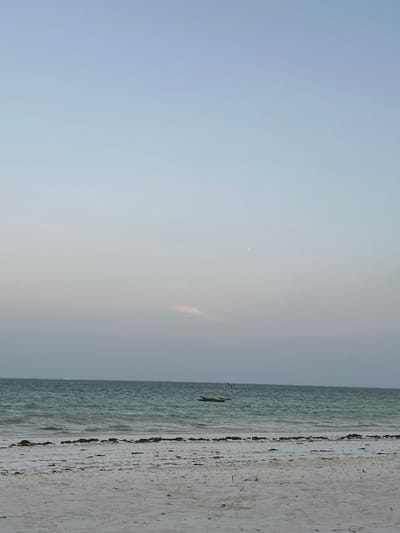 This media file displays a serene coastal landscape, likely captured during either dawn or dusk due to the soft, diffused lighting. The image, once correctly oriented, features a vast, open sky occupying the upper left and central portions of the frame. The sky transitions from a light, clear blue at the top to a paler, grayish-white hue closer to the horizon. A very faint, tiny white speck, possibly the moon, is barely discernible high in the sky. Near the horizon, slightly left of the center, a small, elongated, faint pinkish cloud adds a subtle touch of color.
The horizon line is straight and separates the expansive sky from the calm ocean. The ocean itself fills the mid-left area of the image, appearing a tranquil greenish-blue with minimal wave activity, indicating very calm waters.
The lower right and bottom portions of the image are dominated by the shoreline and beach. The beach is composed of light-colored sand, possibly white or very pale, marked by distinct darker lines and patches. These darker elements suggest seaweed, debris, or wet sand left by the tide, creating a textured pattern across the shore.
In the water, near the horizon and slightly to the right of the image's center, a dark, elongated object floats, resembling a small, narrow boat or a large log. A few minuscule dark specks are also visible in the water nearby, potentially distant birds.
The setting is a peaceful beach scene, consistent with the provided location context of Kiwengwa, Tanzania. The overall mood is one of tranquility and spaciousness. There is no visible text in the image.