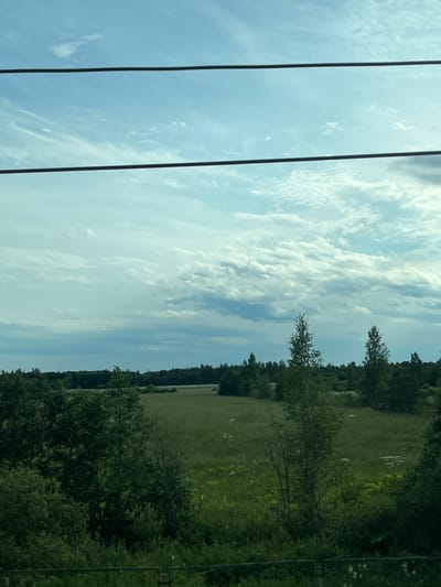 This media file depicts a landscape scene, likely taken from a moving vehicle due to the presence of vertical lines resembling window frames or wires. The image is oriented vertically, suggesting it might be a shot taken looking upwards or sideways from a window.
The scene is divided into two main parts by the vertical lines. The left side is dominated by a bright blue sky filled with scattered white clouds. These clouds are wispy and elongated, creating a sense of movement or vastness.
The right side of the image reveals a green, grassy field or meadow bordered by dense trees. The trees appear lush and green, indicating a time of year like summer or early autumn. Some individual trees stand out in the field, with branches reaching upwards. In the distance, a line of darker trees forms a horizon. The field seems to be a natural or agricultural space, with no clear signs of human structures or activity other than what might be implied by the perspective.
The time of day appears to be daytime, given the bright sky. The weather seems pleasant, with a clear sky and abundant clouds, suggesting a fair day. There are no visible people or text in the image. The overall impression is one of a natural, open landscape.