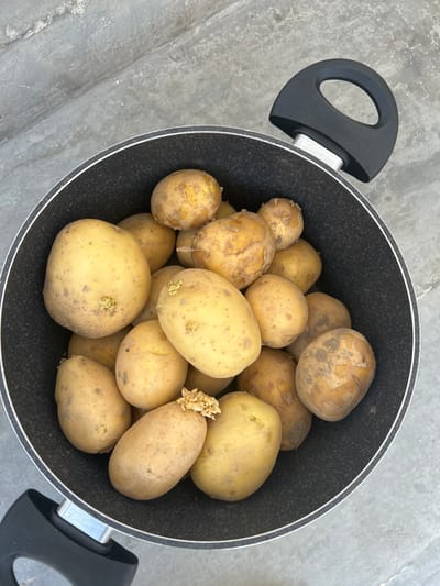 A top-down, medium shot captures a black pot filled with numerous potatoes sitting on a grey, textured surface. The pot has two handles, one black and curved, the other metallic and straight. The potatoes are a mixture of light and dark yellow with some showing green sprouts. The background is a uniform grey, suggesting an outdoor setting, possibly a patio or paved area in Ognianovo, Bulgaria.