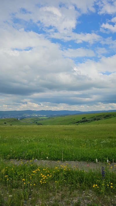 The image shows a vast, green, rolling landscape under a cloudy sky. In the foreground, a dirt path runs horizontally across the frame, bordered by tall green grass interspersed with clusters of small yellow and white wildflowers. Beyond the path, the terrain slopes upwards into a large, verdant field dotted with more wildflowers. In the middle ground, the landscape continues with gentle green hills, and a small blue structure is visible in a valley. In the background, a city with buildings is nestled between rolling hills and a distant mountain range. The sky is filled with a mix of white and grey clouds, with patches of blue sky visible. The scene appears to be a natural landscape with signs of human habitation in the distance. The location in the city of Красный Курган, Russia, is suggested by the presence of buildings and a mountain range in the background.