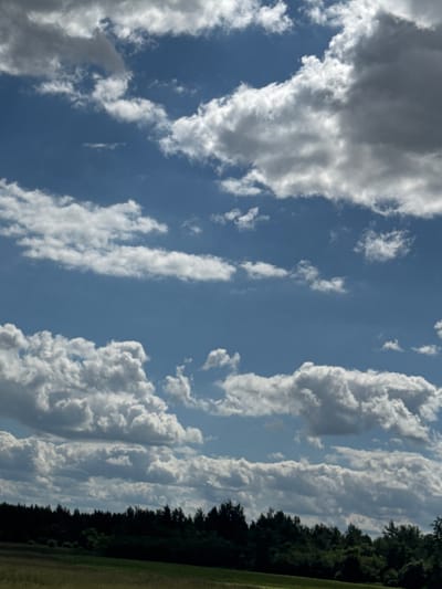 The image shows a cloudy sky over a forest and a field. The sky is a vibrant blue with various types of clouds, ranging from wispy cirrus clouds to large, puffy cumulus clouds. Some of the cumulus clouds are dark and appear to be heavy with rain, while others are bright white and illuminated by the sun. The clouds are diverse in shape and size, creating a dynamic and visually interesting sky.
Below the sky is a dense line of trees that forms a dark silhouette against the lighter sky. The trees are a mix of deciduous and coniferous species, with some taller trees interspersed among shorter ones. The forest appears to be at the edge of a large, open field.
In the foreground, there is a field covered in grass and some other low-lying vegetation. The field is mostly green, but there are some patches of drier, yellowish grass, indicating a transition in the terrain or vegetation. The overall scene suggests a natural landscape, possibly in a rural area. The weather appears to be partly cloudy, with the possibility of rain.
Based on the provided information, this scene is located in the Акцябрскі сельскі Савет, Belarus. The image captures a segment of the natural environment of this rural area, characterized by its open fields and extensive forest cover, under a dramatic sky.