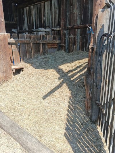 This media file depicts the interior of a rustic wooden structure, likely a stable or animal pen, in Kamenno-Angarsk, Russia. The ground is covered with a thick layer of dry straw or hay. The walls are constructed from weathered, vertical wooden planks, showing signs of age and exposure to the elements. A wooden fence, also made of rough-hewn planks, divides the space.

Sunlight streams into the enclosure, casting distinct, striped shadows from the fence onto the straw-covered floor, suggesting a sunny day. The light also highlights the texture of the wood and straw. A heavy, rough-hewn wooden post stands near the entrance to the enclosure, with a black strap and a coiled blue rope hanging from it. These appear to be tools or tack, hinting at the structure's use for housing animals, possibly livestock like horses or cattle.

The overall impression is one of a functional, utilitarian space, weathered by time and the environment. There is no visible text in the image. The scene evokes a sense of rural life and the practicalities of animal husbandry. The time of day appears to be daytime, likely morning or afternoon, given the angle of the shadows. The weather is clearly sunny and dry.