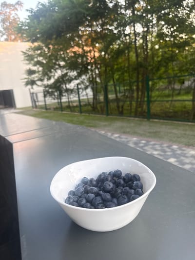 A white bowl filled with blueberries sits on a dark gray surface. In the background, a blurred scene shows trees, a fence, a paved area, and a building with a white wall. The overall lighting suggests it is either early morning or late afternoon. The scene appears to be outdoors, possibly in a residential or public area in Chakvi, Georgia. No people are visible in the image.