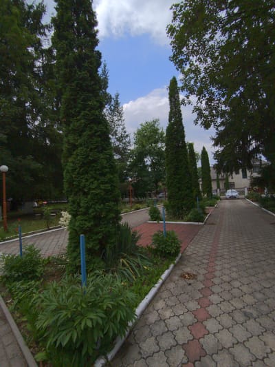 This is a wide-angle, eye-level, outdoor photograph taken on a partly cloudy day, possibly in Svaliava, Ukraine. The scene depicts a paved walkway bordered by manicured garden beds and tall evergreen trees. The walkway is constructed of interlocking grey and red-patterned concrete pavers. A white car is parked on a driveway beyond a gate. The surrounding environment includes lush green foliage, ornamental plants, and several slender, tall cypress trees. A lamppost with a round white lamp is visible on the left side of the image, and a building with a light-colored facade is in the background. There are no visible people in the frame.