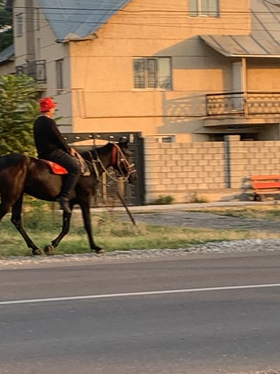 A person wearing a red hat and a dark long-sleeved shirt rides a dark-colored horse. The horse is equipped with a bridle and a red saddle pad. The rider's legs are clad in dark pants. They are moving from left to right across the frame, on a paved road that has a white line down its center. To the right of the road is a grassy area, beyond which is a fence constructed of light-colored brickwork. A red bench is visible behind the fence, to the right. In the background, a building with a yellow facade and a gray roof is visible. The scene is illuminated by the warm light of what appears to be sunset or sunrise. The overall impression is a rural or semi-urban environment in Зертас ауылдық округі, Kazakhstan.
